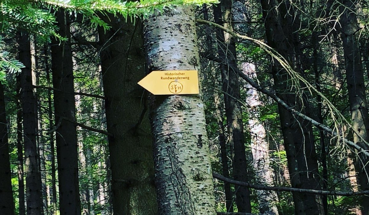 Ein gelbes Schild mit der Aufschrift 'Historischer Rundwanderweg' hängt an einem Baum in einem dichten Wald., © Nördlicher Schwarzwald Ein gelbes Schild mit der Aufschrift 'Historischer Rundwanderweg' hängt an einem Baum in einem dichten Wald., © Nördlicher Schwarzwald