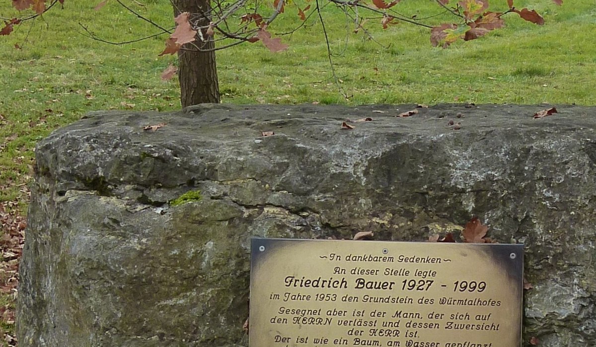 Gedenktafel für Friedrich Bauer auf einem großen Stein, umgeben von herbstlichem Laub und grüner Wiese., © Natur.Nah. Schönbuch & Heckengäu