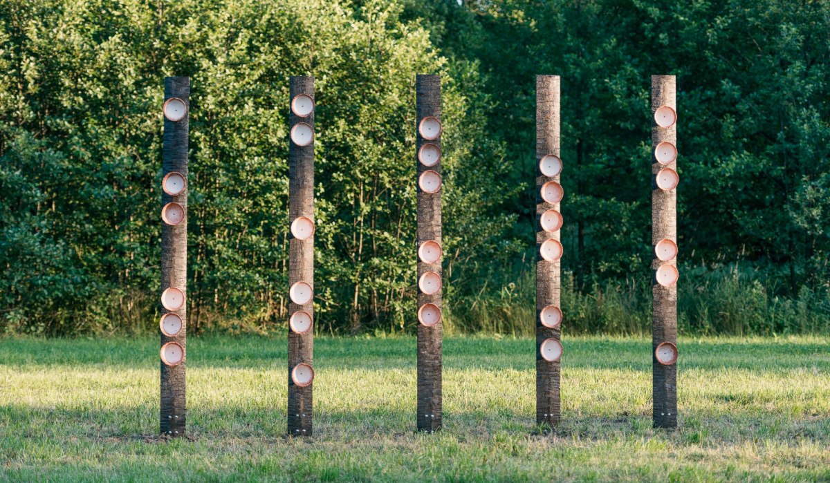 Sculptoura - Gaspar: Schalen der Hoffnung, &copy; Natur.Nah. Sch&ouml;nbuch & Heckeng&auml;u