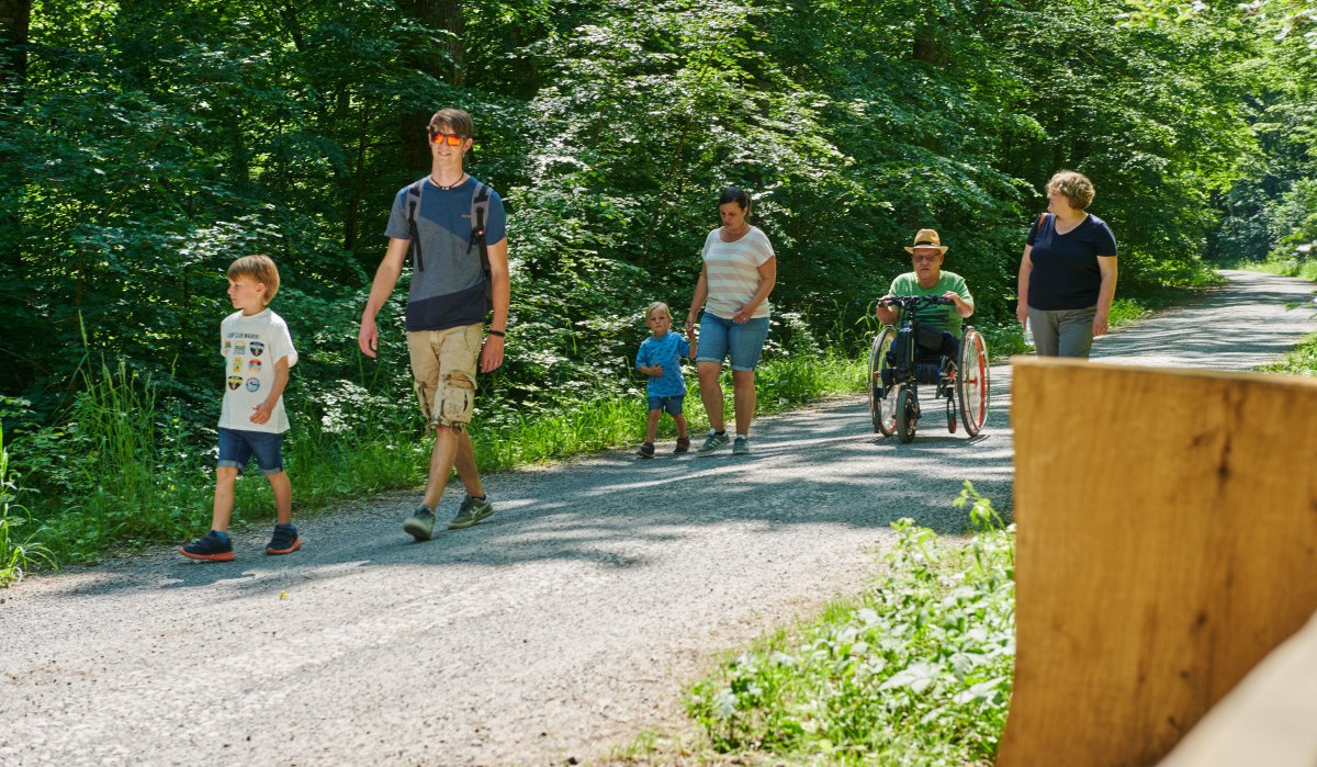 Eine Gruppe von Menschen, darunter ein Mann im Rollstuhl, spaziert auf einem sonnigen Waldweg. Die Umgebung ist gr&uuml;n und friedlich.