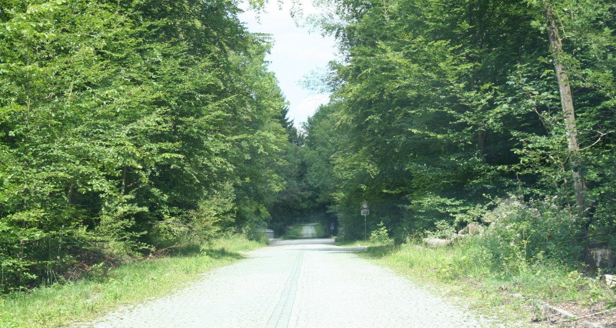 Ein gepflasterter Weg führt durch einen dichten Wald mit üppigem Grün. Die Bäume säumen den Weg und spenden Schatten., © Natur.Nah. Schönbuch & Heckengäu Ein gepflasterter Weg führt durch einen dichten Wald mit üppigem Grün. Die Bäume säumen den Weg und spenden Schatten., © Natur.Nah. Schönbuch & Heckengäu
