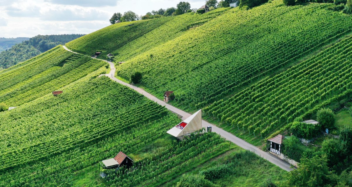 Grüne Weinberge am Grafenberg in Schorndorf, durchzogen von einem Weg. Kleine Gebäude sind zwischen den Reben verteilt., © Bebop Media Grüne Weinberge am Grafenberg in Schorndorf, durchzogen von einem Weg. Kleine Gebäude sind zwischen den Reben verteilt., © Bebop Media
