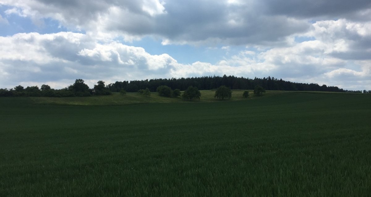 Ein weites grünes Getreidefeld erstreckt sich unter einem bewölkten Himmel. Im Hintergrund ist ein dichter Wald zu sehen., © www.pro-cycl.de Ein weites grünes Getreidefeld erstreckt sich unter einem bewölkten Himmel. Im Hintergrund ist ein dichter Wald zu sehen., © www.pro-cycl.de