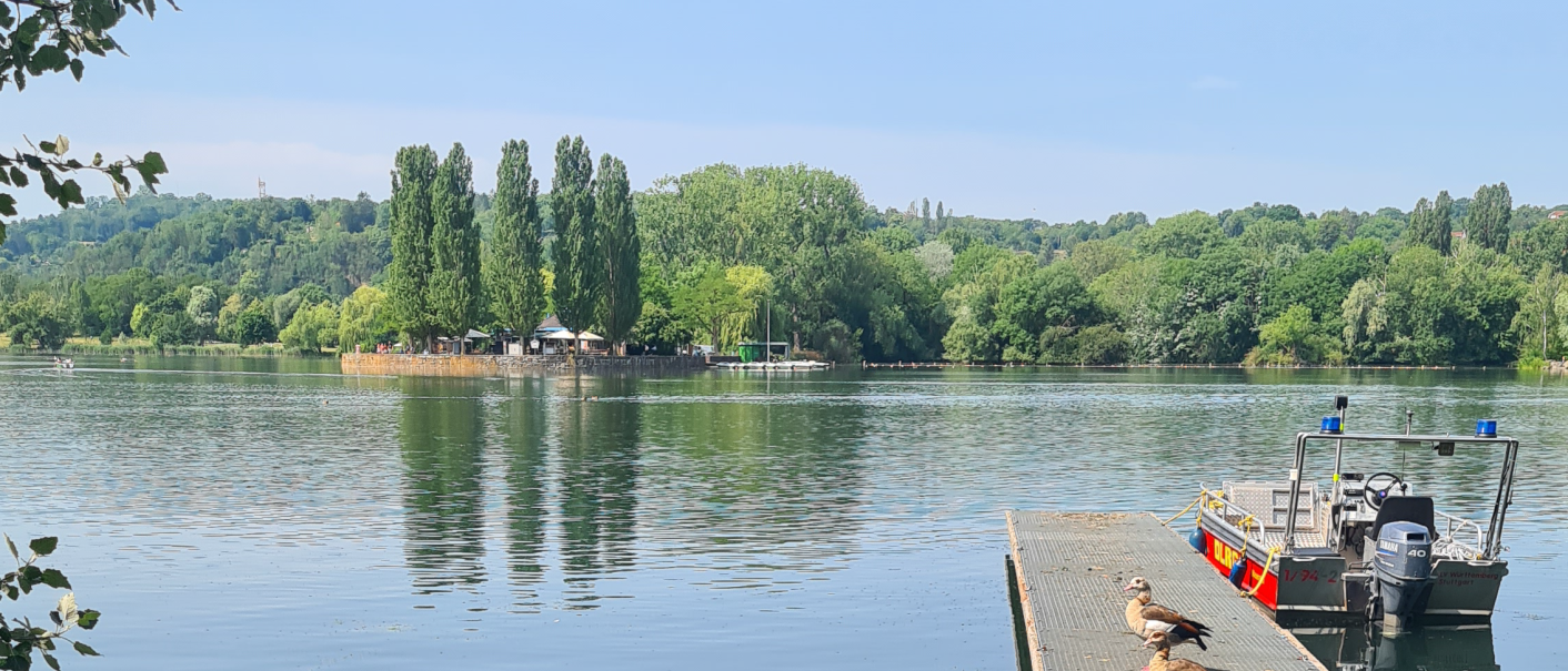 Max-Eyth-See in Stuttgart mit Enten auf einem Steg, einem Boot und grüner Landschaft im Hintergrund., © Stuttgart-Marketing GmbH, Sandra Nörpel