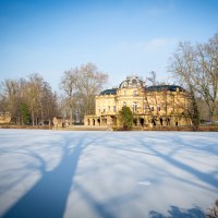 Seeschloss Monrepos im Winter, umgeben von kahlen Bäumen. Der See ist gefroren, und die Schatten der Bäume erstrecken sich über das Eis., © Tourismus & Events Ludwigsburg, Benjamin Stollenberg