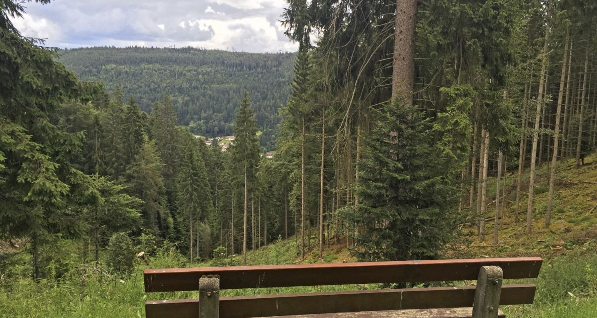 Eine Holzbank steht auf einer Wiese mit Blick auf bewaldete Hügel. Der Himmel ist bewölkt., © www.pro-cycl.de Eine Holzbank steht auf einer Wiese mit Blick auf bewaldete Hügel. Der Himmel ist bewölkt., © www.pro-cycl.de