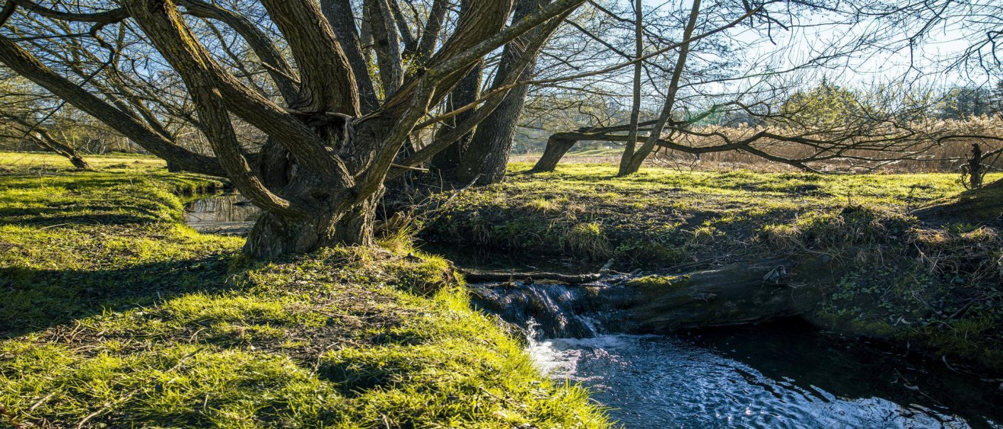 Ein kleiner Fluss flie&szlig;t durch den Sommerhofenpark in Sindelfingen, umgeben von B&auml;umen und gr&uuml;nem Gras im Sonnenlicht., &copy; SMG, Sarah Schmid