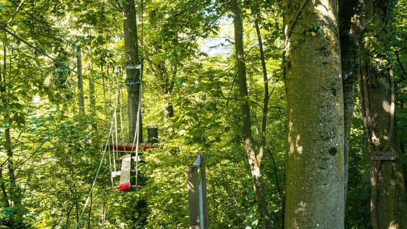 Ein Kletterpark im Wald mit Plattformen und Seilen zwischen Bäumen. Die Umgebung ist dicht bewaldet und grün., © Stuttgart-Marketing GmbH, Sarah Schmid Ein Kletterpark im Wald mit Plattformen und Seilen zwischen Bäumen. Die Umgebung ist dicht bewaldet und grün., © Stuttgart-Marketing GmbH, Sarah Schmid