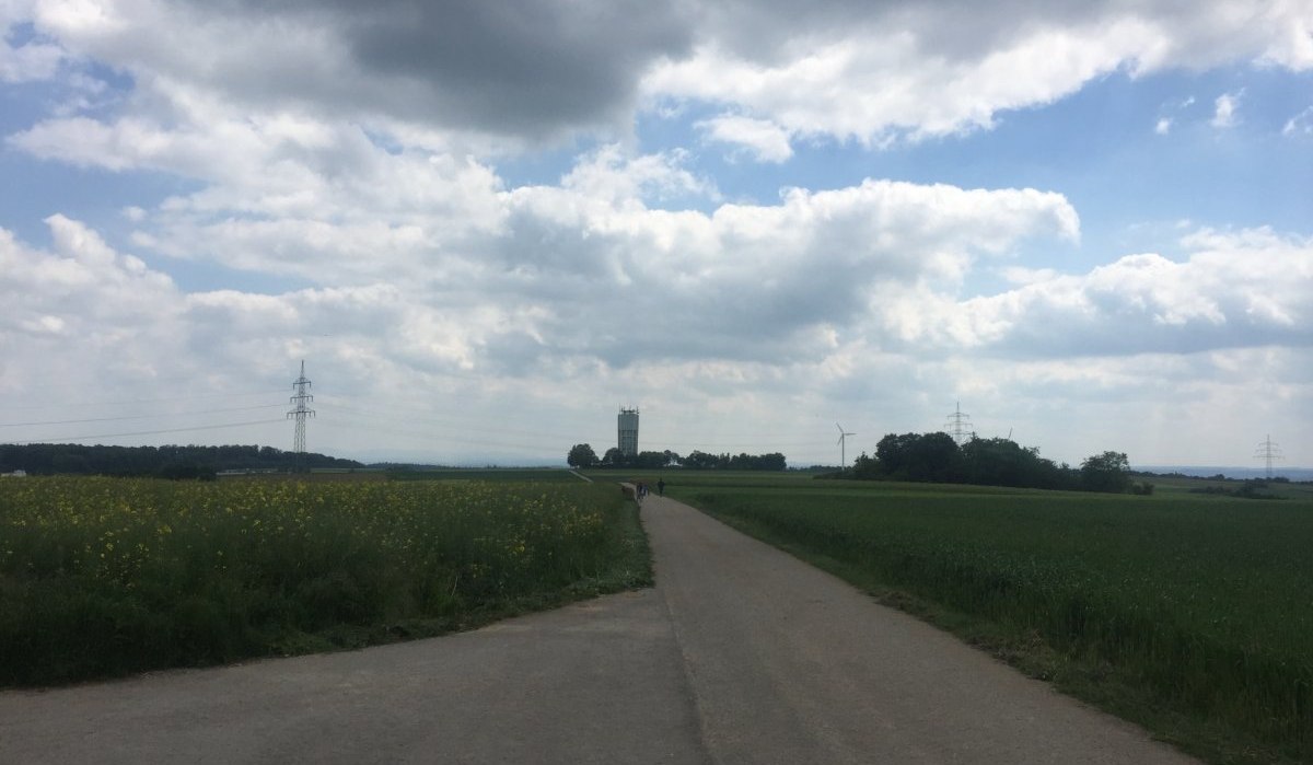 Ein Weg f&uuml;hrt durch gr&uuml;ne Felder zu einem Wasserturm am Horizont, unter einem bew&ouml;lkten Himmel., &copy; www.pro-cycl.de