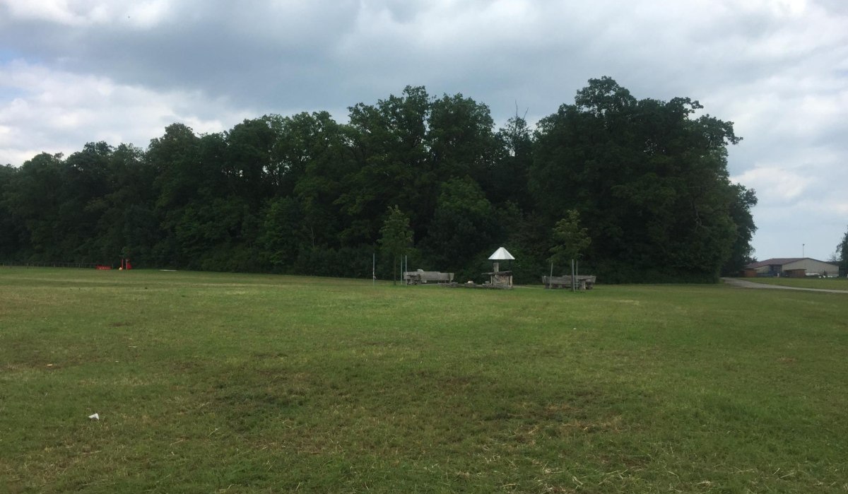 Grüne Wiese mit einem Grillplatz und Bänken, umgeben von Bäumen. Im Hintergrund sind Gebäude und ein bewölkter Himmel zu sehen., © www.pro-cycl.de Grüne Wiese mit einem Grillplatz und Bänken, umgeben von Bäumen. Im Hintergrund sind Gebäude und ein bewölkter Himmel zu sehen., © www.pro-cycl.de