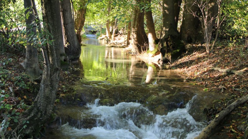Ein klarer Bach flie&szlig;t durch einen Wald, umgeben von B&auml;umen und gr&uuml;nem Laub. Sonnenlicht f&auml;llt durch die Bl&auml;tter und spiegelt sich im Wasser., &copy; Bad Urach Tourismus