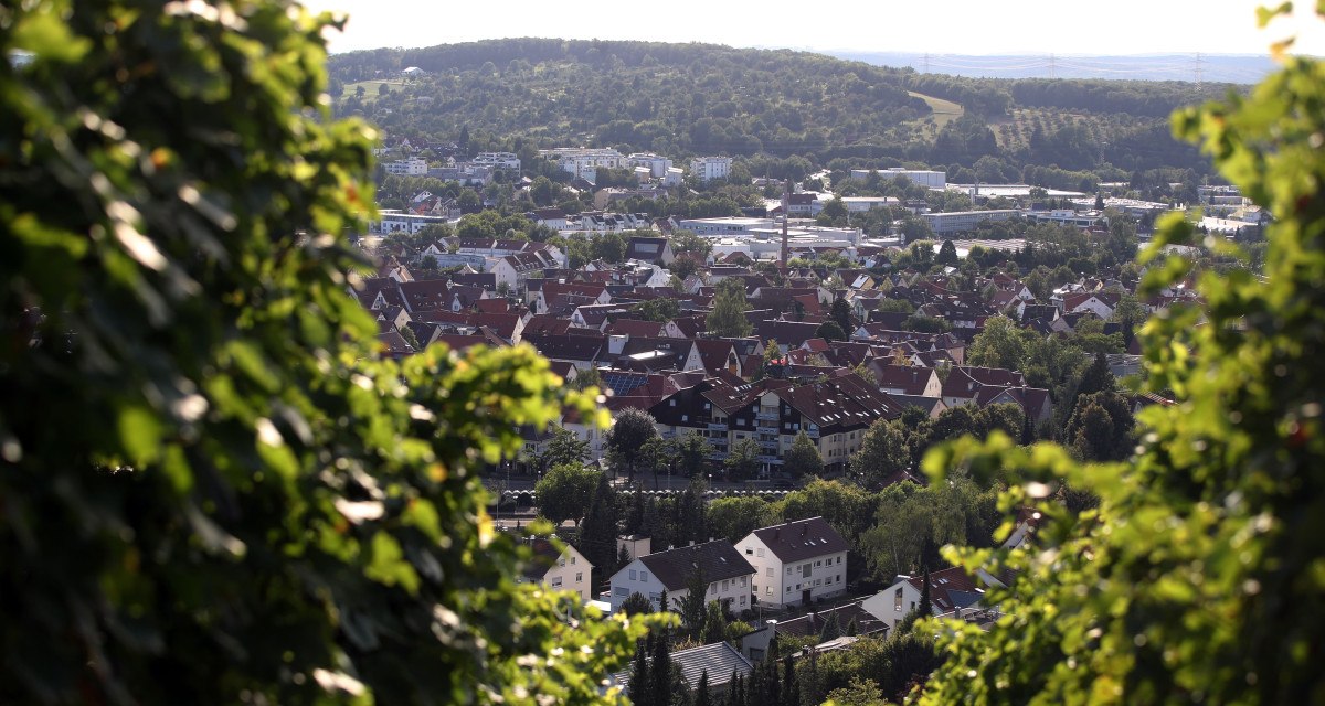 Blick vom Weinberg auf Metzingen: Im Vordergrund Weinreben, dahinter Dächer der Stadt und grüne Hügel im Hintergrund. Blick vom Weinberg auf Metzingen: Im Vordergrund Weinreben, dahinter Dächer der Stadt und grüne Hügel im Hintergrund.