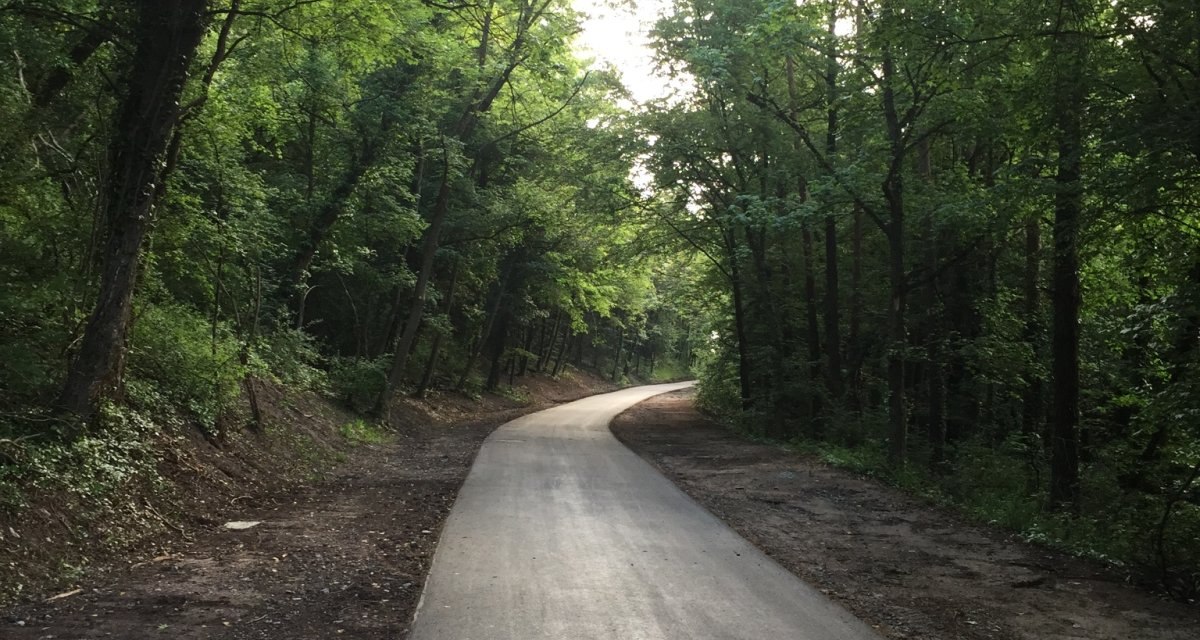Ein asphaltierter Weg schlängelt sich durch einen dichten, grünen Wald. Die Bäume spenden Schatten und die Umgebung wirkt ruhig und einladend., © www.pro-cycl.de Ein asphaltierter Weg schlängelt sich durch einen dichten, grünen Wald. Die Bäume spenden Schatten und die Umgebung wirkt ruhig und einladend., © www.pro-cycl.de