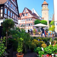 Fachwerkhäuser und ein Turm in einer Altstadt. Im Vordergrund ein Blumenmarkt mit bunten Pflanzen unter blauem Himmel., © Waiblingen - Stuttgart-Marketing GmbH