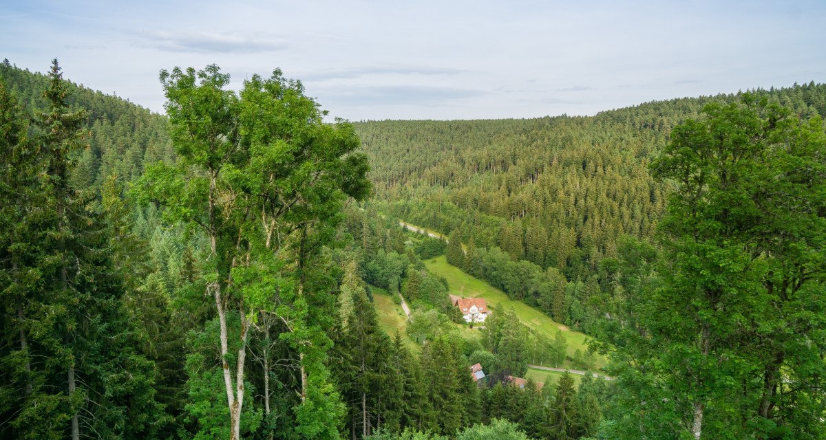 Grünes Tal mit dichtem Wald, einem Haus mit rotem Dach in der Mitte und einem klaren Himmel im Hintergrund., © Nördlicher Schwarzwald Grünes Tal mit dichtem Wald, einem Haus mit rotem Dach in der Mitte und einem klaren Himmel im Hintergrund., © Nördlicher Schwarzwald