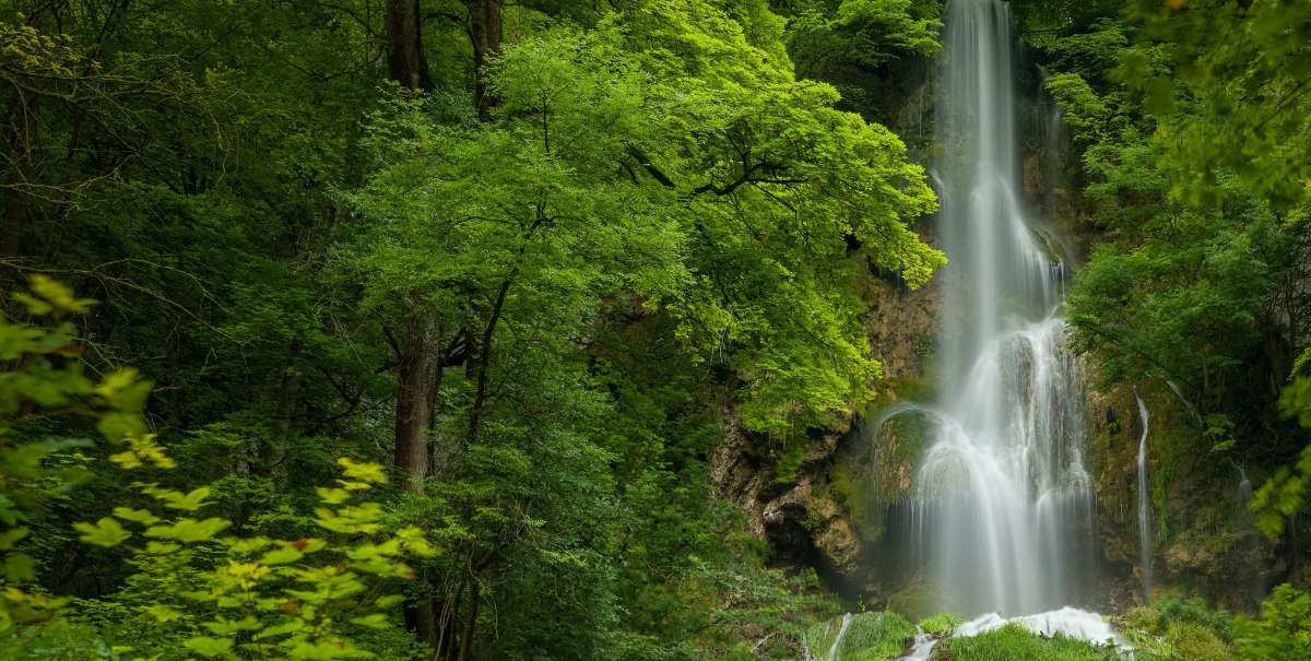Der Uracher Wasserfall flie&szlig;t durch dichten, gr&uuml;nen Wald und f&auml;llt &uuml;ber eine steile Felswand. &Uuml;ppige Vegetation umgibt den Wasserfall.