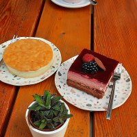 Zwei St&uuml;ck Kuchen auf Tellern auf einem Holztisch, daneben eine kleine Pflanze. Ein Kuchen ist mit Beeren garniert., &copy; SMG