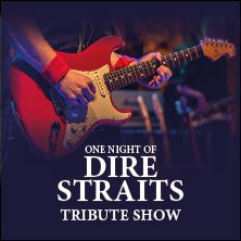 Ein Gitarrist spielt eine rote E-Gitarre bei der "One Night of Dire Straits" Tribute Show., © links im Bild