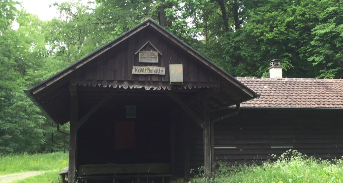 Eine rustikale Holzh&uuml;tte namens Kohlhauh&uuml;tte steht inmitten eines gr&uuml;nen Waldes. Vor der H&uuml;tte bl&uuml;hen gelbe Blumen., &copy; www.pro-cycl.de