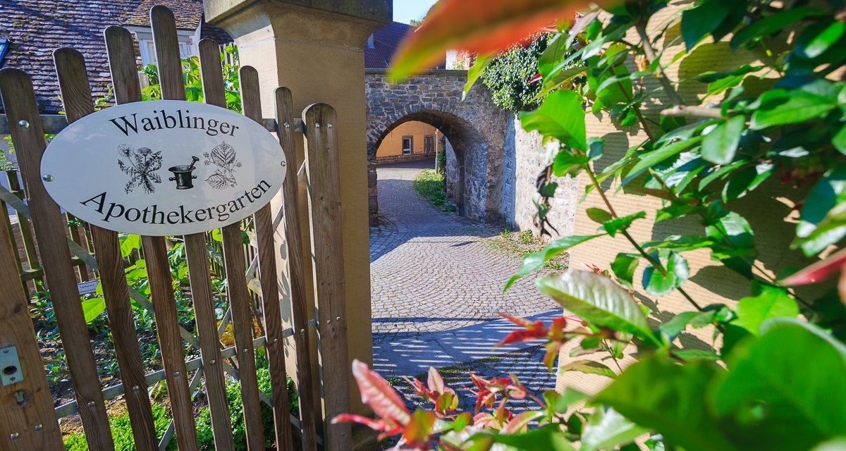 Ein schmuckes Holztor unter einem historischen Steinbogen markiert den stimmungsvollen Eingang zum Waiblinger Apothekergarten. Der Zugang wirkt wie ein kleines Portal in eine gr&uuml;ne Oase voller Heilpflanzen, D&uuml;fte und Ruhe mitten in der Stadt.