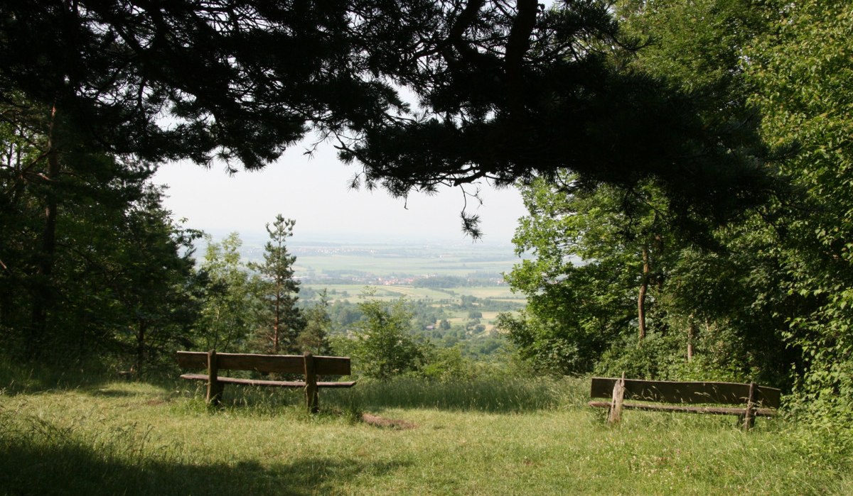 Aussichtsplatz in der N&auml;he vom Waldseilgarten, &copy; Natur.Nah. Sch&ouml;nbuch & Heckeng&auml;u