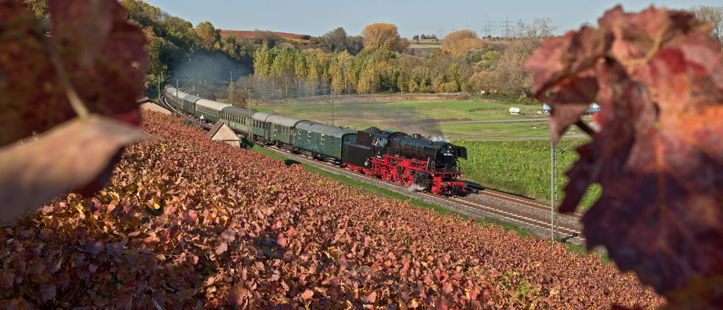 Eine Dampflok zieht einen Zug durch eine herbstliche Landschaft mit bunten Weinbergen und Bäumen., © DBK Historische Bahn e.V.