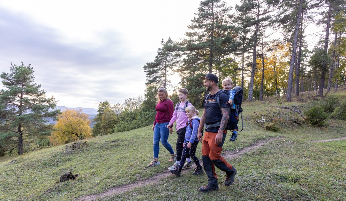 Eine Familie wandert auf einem Waldweg. Die Eltern und drei Kinder, eines im Tragerucksack, genießen die Natur. Bäume und herbstliche Farben im Hintergrund., © Foto Thomas Zehnder