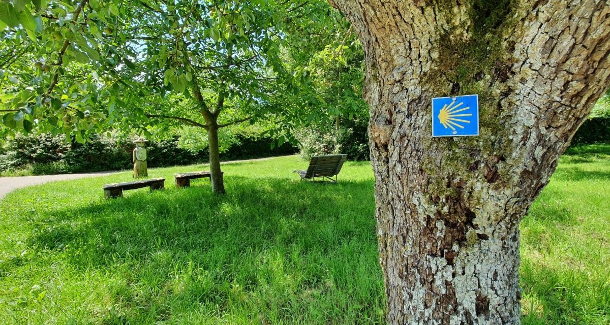 Ein Baum mit Jakobsweg-Schild, Bänke und eine Statue auf einer grünen Wiese unter blauem Himmel., © Kulturamt Plochingen Ein Baum mit Jakobsweg-Schild, Bänke und eine Statue auf einer grünen Wiese unter blauem Himmel., © Kulturamt Plochingen