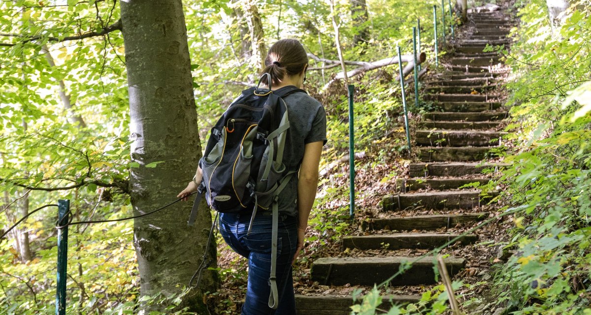 Eine Person mit Rucksack steigt eine steile, bewaldete Treppe hinauf. Die Umgebung ist grün und dicht bewachsen., © Foto Thomas Zehnder Eine Person mit Rucksack steigt eine steile, bewaldete Treppe hinauf. Die Umgebung ist grün und dicht bewachsen., © Foto Thomas Zehnder