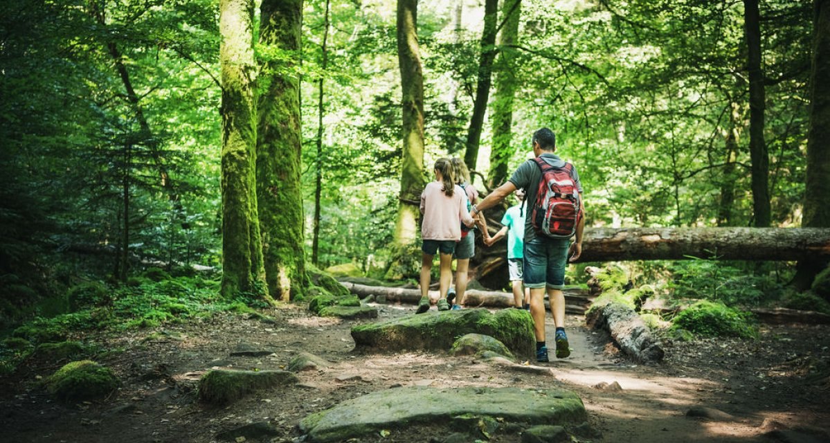 Unterwegs durch das Monbachtal, © Freizeit & Tourismus Bad Liebenzell GmbH Unterwegs durch das Monbachtal, © Freizeit & Tourismus Bad Liebenzell GmbH