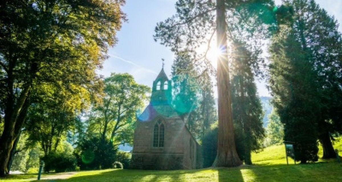 Die Englische Kirche im Kurpark Bad Wildbad, umgeben von hohen B&auml;umen und Sonnenstrahlen, die durch das Bl&auml;tterdach scheinen., &copy; N&ouml;rdlicher Schwarzwald