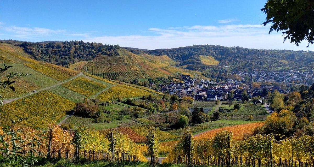 Panoramablick vom Rotenberg auf herbstliche Weinberge und ein malerisches Dorf, umgeben von grünen Hügeln unter blauem Himmel. Panoramablick vom Rotenberg auf herbstliche Weinberge und ein malerisches Dorf, umgeben von grünen Hügeln unter blauem Himmel.