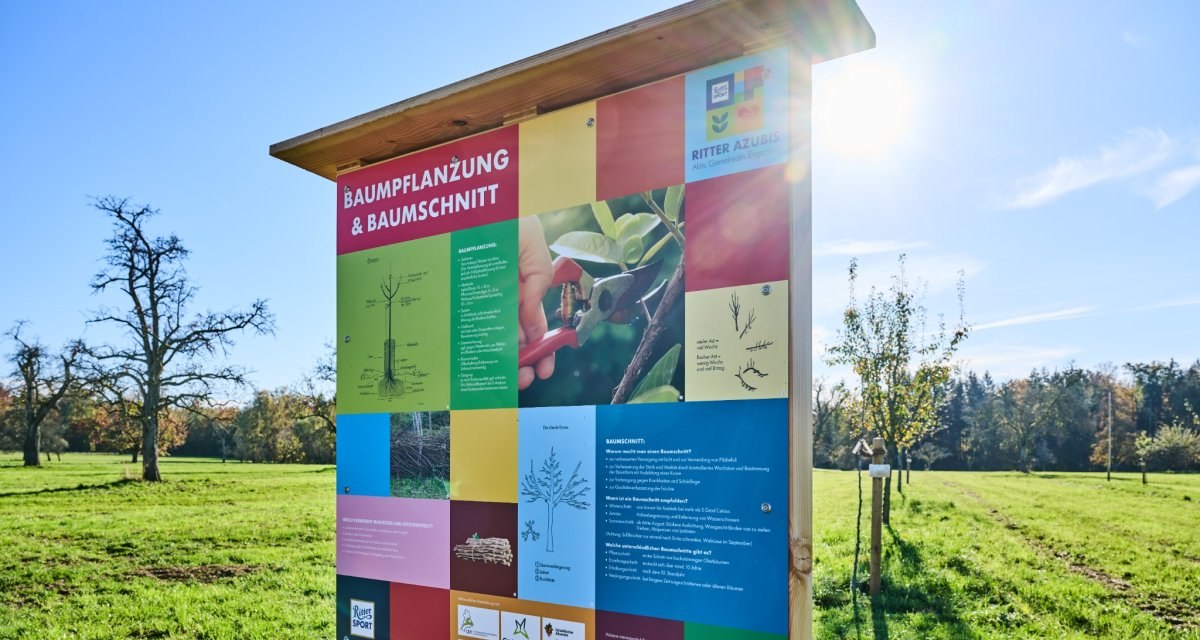 Ein Informationsschild zur Baumpflanzung und Baumschnitt steht auf einer grünen Wiese unter klarem Himmel., © Natur.Nah. Schönbuch & Heckengäu Ein Informationsschild zur Baumpflanzung und Baumschnitt steht auf einer grünen Wiese unter klarem Himmel., © Natur.Nah. Schönbuch & Heckengäu