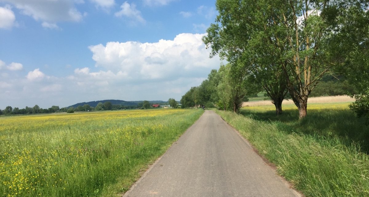 Ein asphaltierter Radweg verläuft durch eine grüne Landschaft mit blühenden Wiesen und Bäumen, unter einem blauen Himmel mit weißen Wolken., © www.pro-cycl.de Ein asphaltierter Radweg verläuft durch eine grüne Landschaft mit blühenden Wiesen und Bäumen, unter einem blauen Himmel mit weißen Wolken., © www.pro-cycl.de