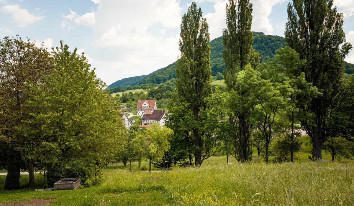 Grüne Wiese mit Bäumen im Vordergrund, dahinter ein Dorf mit Fachwerkhäusern und ein bewaldeter Hügel unter blauem Himmel., © hochgehberge Grüne Wiese mit Bäumen im Vordergrund, dahinter ein Dorf mit Fachwerkhäusern und ein bewaldeter Hügel unter blauem Himmel., © hochgehberge