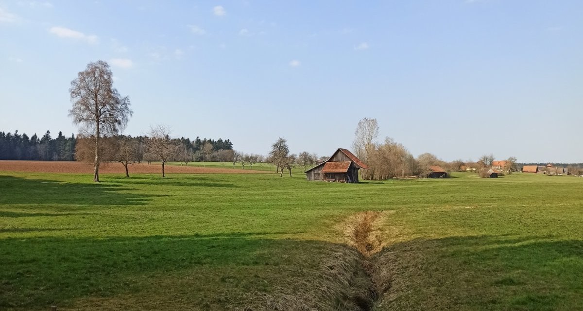 Natur pur auf der Etappe zwischen Bad Wildbach und Bad Teinach, &copy; N&ouml;rdlicher Schwarzwald