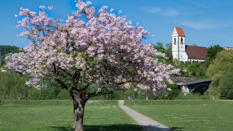Landschaftspark Bruckenwasen, &copy; Kulturamt Plochingen