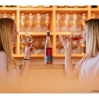 Zwei Frauen genie&szlig;en eine Weinprobe im Weinbaumuseum. Sie halten Weingl&auml;ser mit ros&eacute;farbenem Wein, im Hintergrund sind Gl&auml;serregale zu sehen., &copy; Stuttgart-Marketing GmbH, Thomas Niederm&uuml;ller