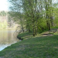 Ein ruhiger See mit gr&uuml;nen B&auml;umen am Ufer. Ein Pfad f&uuml;hrt zu einer Bank, die zum Verweilen einl&auml;dt., &copy; Natur.Nah. Sch&ouml;nbuch & Heckeng&auml;u