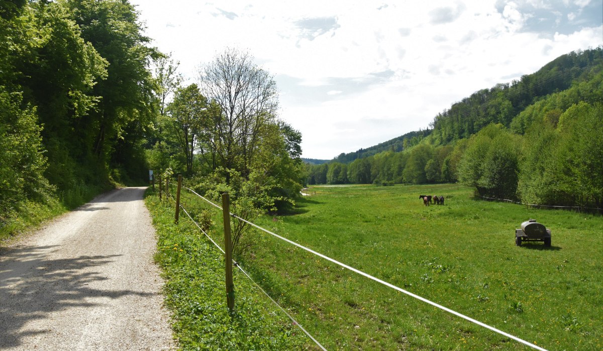 Ein Feldweg führt durch eine grüne Landschaft mit Wiesen und Bäumen. Im Hintergrund grasen Pferde auf der Wiese., © Ev. Kirchenbezirk Schorndorf