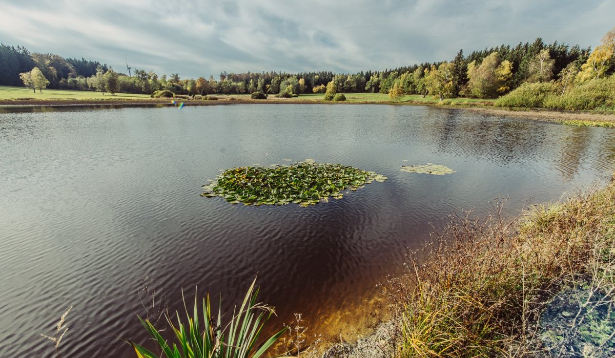 Weiherwiesen Essingen, &copy; Tourismus Ostalb, Fotograf: Christian Frumolt