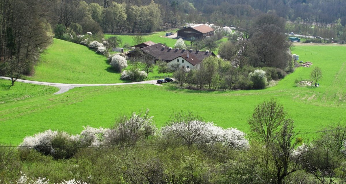 Grüne Wiesen und blühende Bäume umgeben einen Bauernhof im Glemstal. Im Hintergrund erstreckt sich ein dichter Wald., © RadL Leonberg Grüne Wiesen und blühende Bäume umgeben einen Bauernhof im Glemstal. Im Hintergrund erstreckt sich ein dichter Wald., © RadL Leonberg