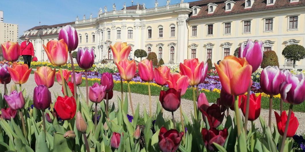 Fr&uuml;hling im Bl&uuml;Ba, &copy; Bl&uuml;hendes Barock Gartenschau Ludwigsburg GmbH