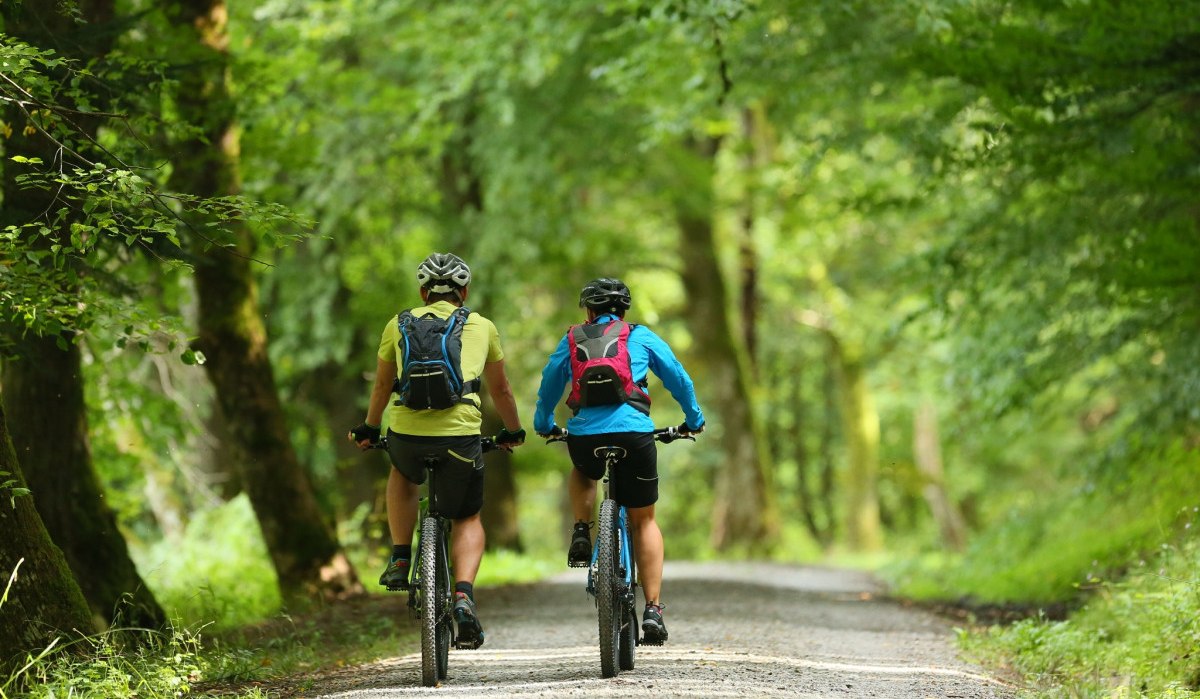 Zwei Radfahrer mit Helmen und Rucksäcken fahren auf einem Waldweg, umgeben von dichtem Grün., © Nördlicher Schwarzwald Zwei Radfahrer mit Helmen und Rucksäcken fahren auf einem Waldweg, umgeben von dichtem Grün., © Nördlicher Schwarzwald