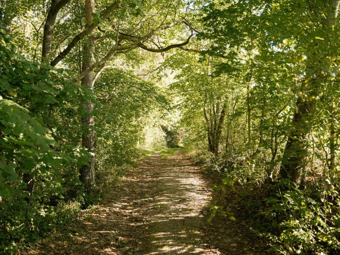 Mit dem Weiler Hannes unterwegs nach Perouse, © Stadtverwaltung Weil der Stadt Mit dem Weiler Hannes unterwegs nach Perouse, © Stadtverwaltung Weil der Stadt