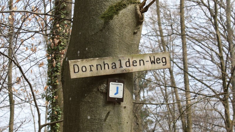 Holzschild 'Dornhalden-Weg' an einem Baum im winterlichen Wald befestigt., © Stuttgart-Marketing GmbH Holzschild 'Dornhalden-Weg' an einem Baum im winterlichen Wald befestigt., © Stuttgart-Marketing GmbH