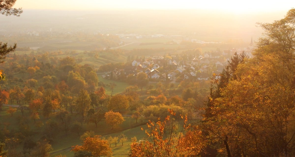 Impressionen LandTour Sch&ouml;nbuchTrauf, &copy; Natur.Nah. Sch&ouml;nbuch & Heckeng&auml;u