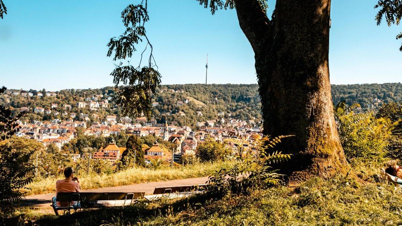 Blick von der Karlsh&ouml;he auf Stuttgart, mit einem gro&szlig;en Baum im Vordergrund und dem Fernsehturm in der Ferne. Menschen entspannen auf der Wiese., &copy; Stuttgart Marketing GmbH, Sarah Schmid