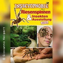 Plakat f&uuml;r die Ausstellung 'Insectophobie: Riesenspinnen & Insekten' mit Bildern von Spinnen auf einem Gesicht und einer Hand sowie in der Natur., &copy; links im Bild