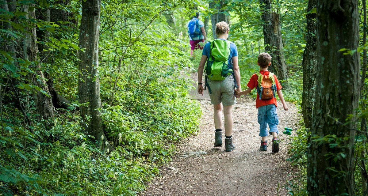 Ein Erwachsener und ein Kind wandern auf einem Waldweg, umgeben von üppigem Grün. Beide tragen Rucksäcke., © hochgehberge Ein Erwachsener und ein Kind wandern auf einem Waldweg, umgeben von üppigem Grün. Beide tragen Rucksäcke., © hochgehberge